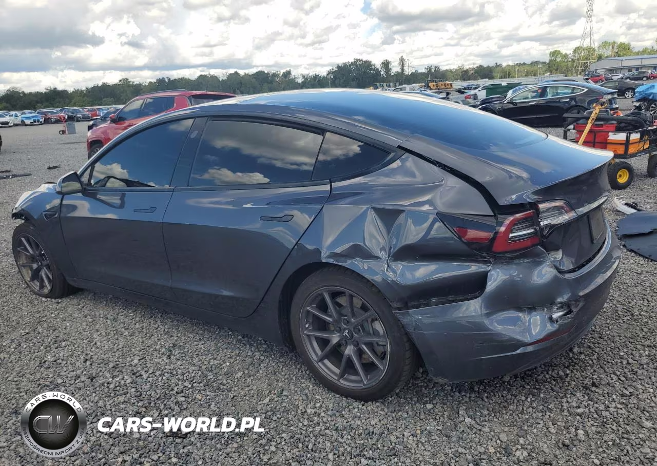 2021 Tesla Model 3 VIN:5YJ3E1EA4MF087642 - 2