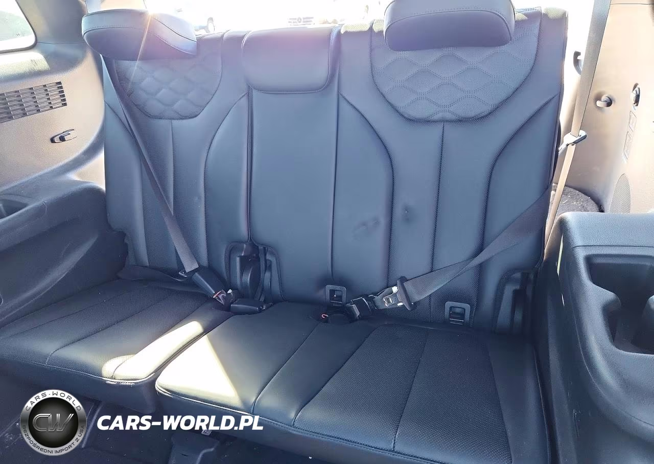 2020 Hyundai Palisade Limited VIN:KM8R5DHE9LU066037 - 10