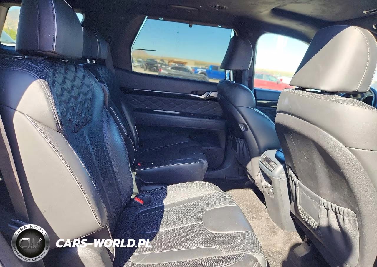 2020 Hyundai Palisade Limited VIN:KM8R5DHE9LU066037 - 11