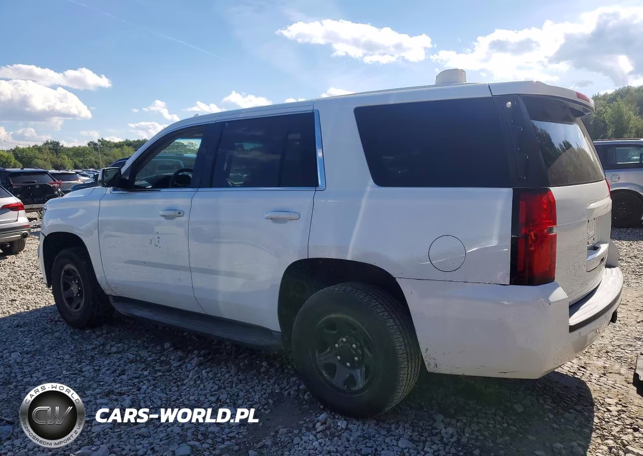 2018 Chevrolet Tahoe Police VIN:1GNLCDEC7JR229262 - 2