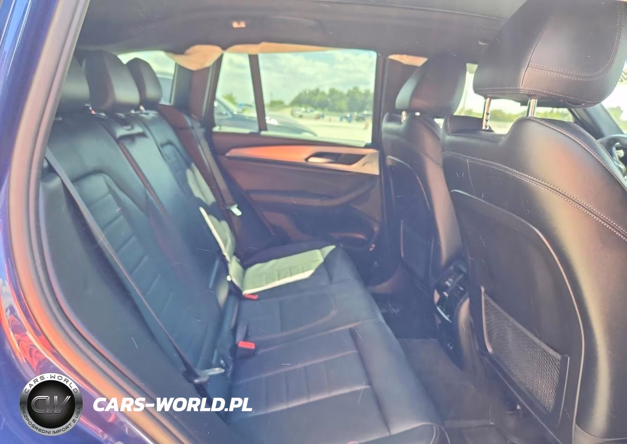 2023 BMW X3 Sdrive30I VIN:5UX43DP01P9R00951 - 10