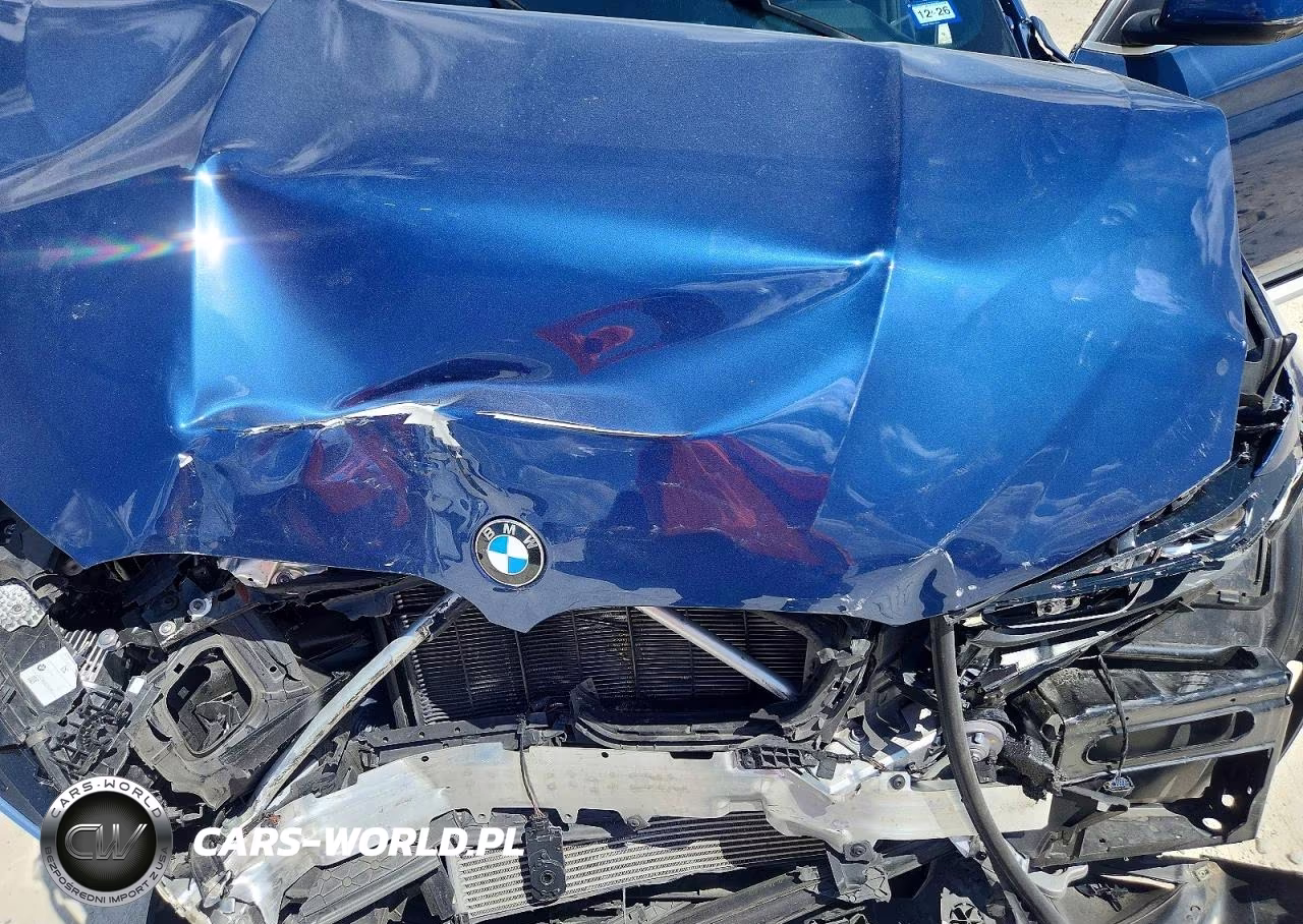 2023 BMW X3 Sdrive30I VIN:5UX43DP01P9R00951 - 11