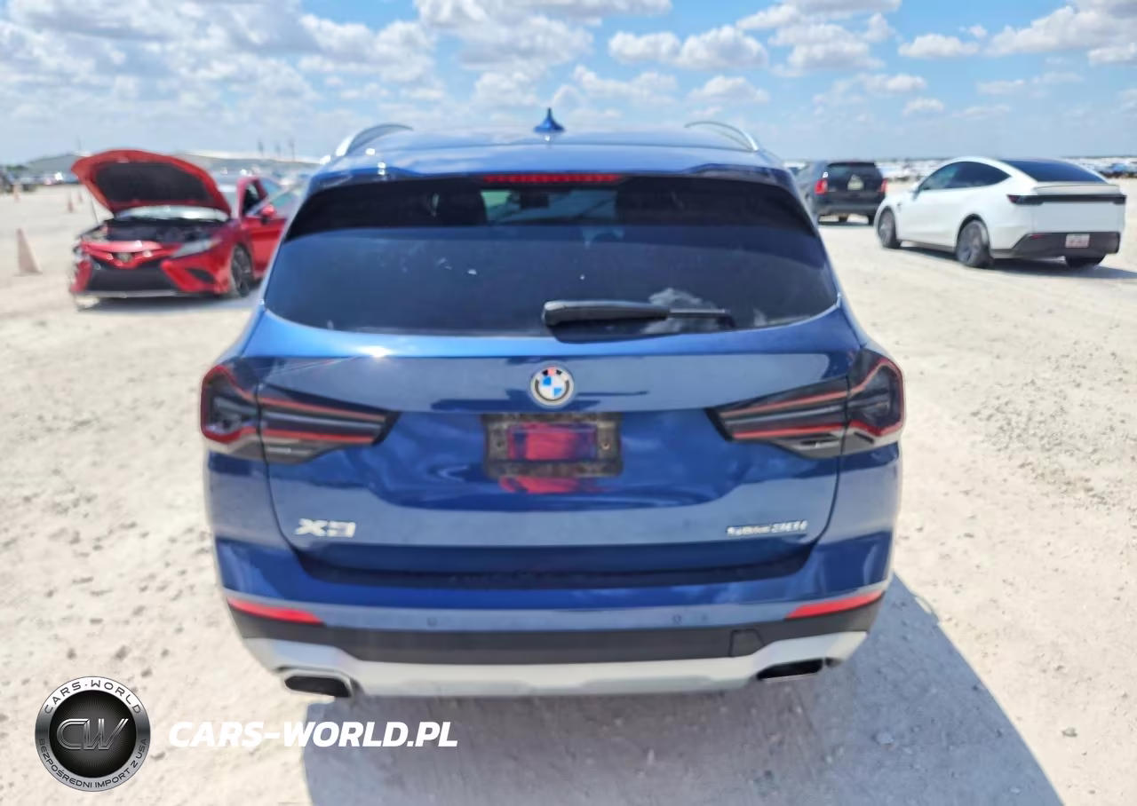 2023 BMW X3 Sdrive30I VIN:5UX43DP01P9R00951 - 6