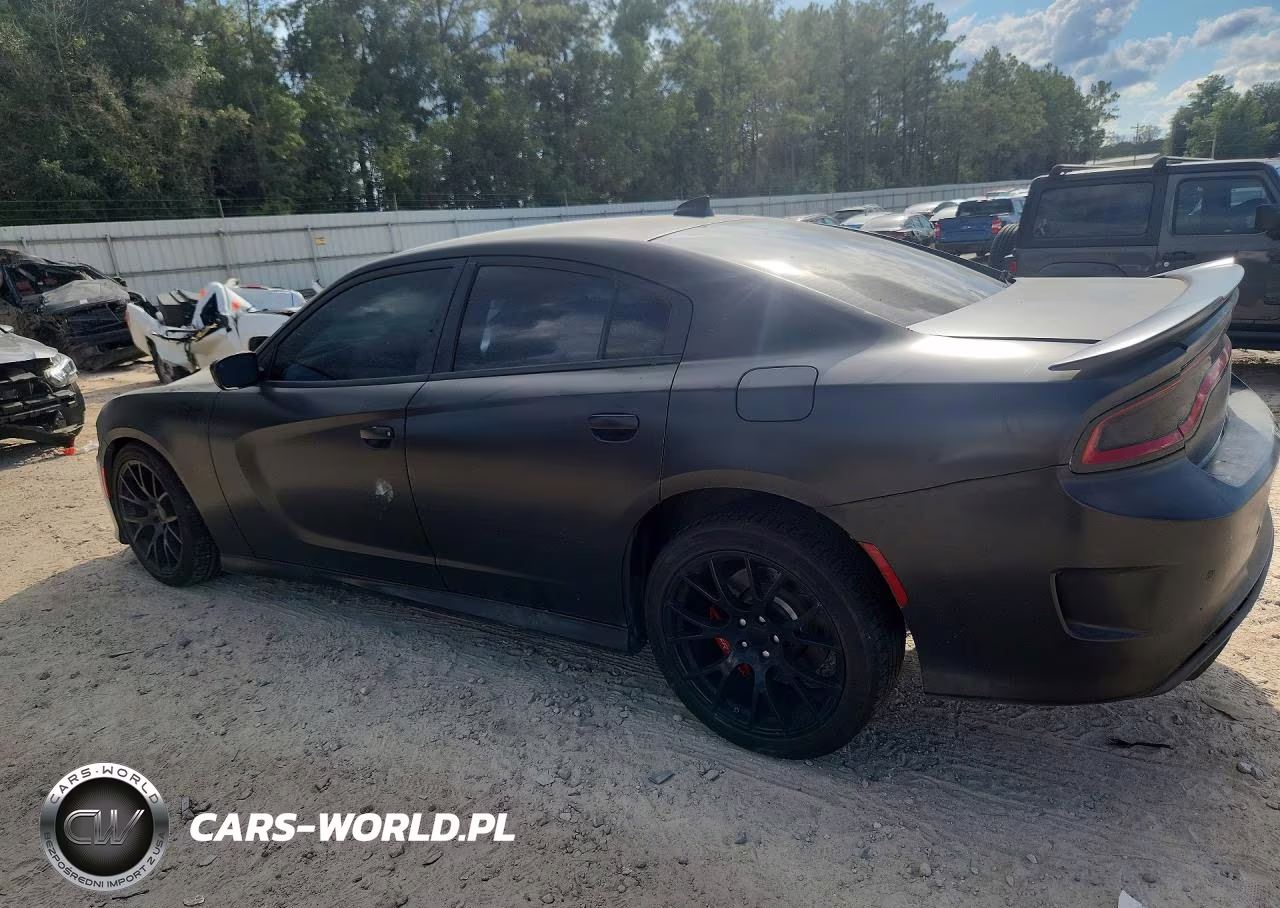 2018 Dodge Charger R-T 392 VIN:2C3CDXGJ8JH319060 - 2