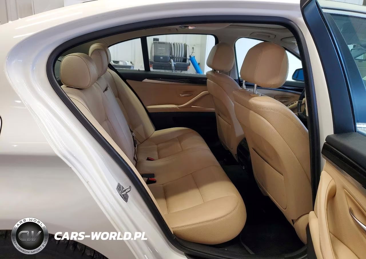 2016 BMW 528 Xi VIN:WBA5A7C53GG149732 - 10