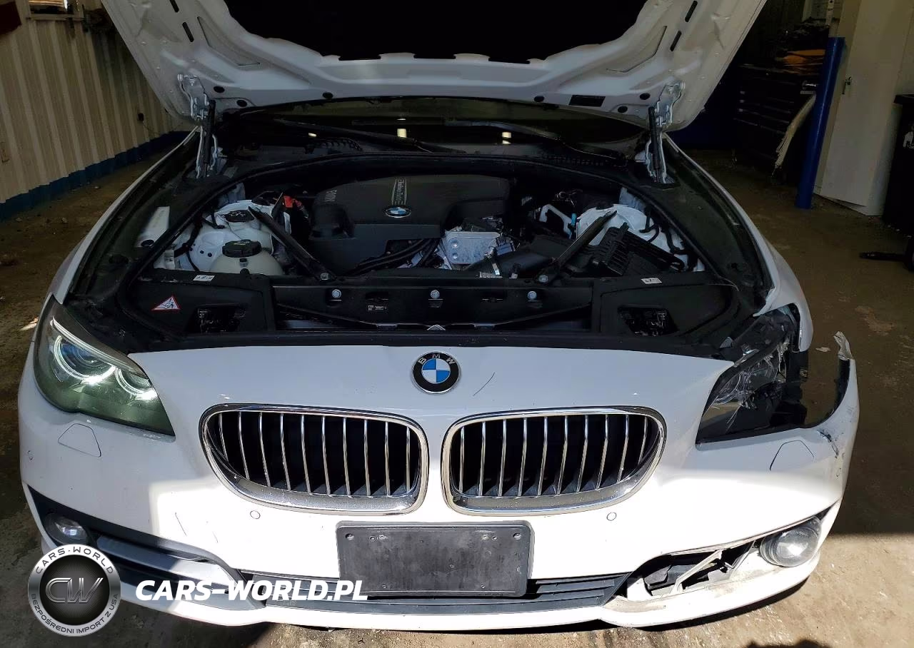 2016 BMW 528 Xi VIN:WBA5A7C53GG149732 - 11