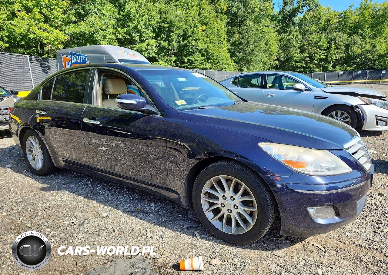 2010 Hyundai Genesis 3.8L VIN:KMHGC4DEXAU074874 - 4
