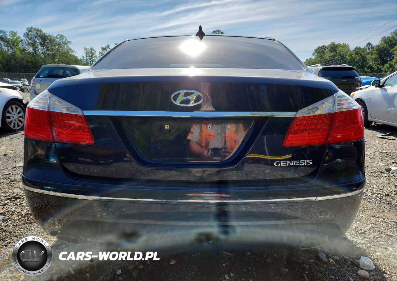 2010 Hyundai Genesis 3.8L VIN:KMHGC4DEXAU074874 - 6