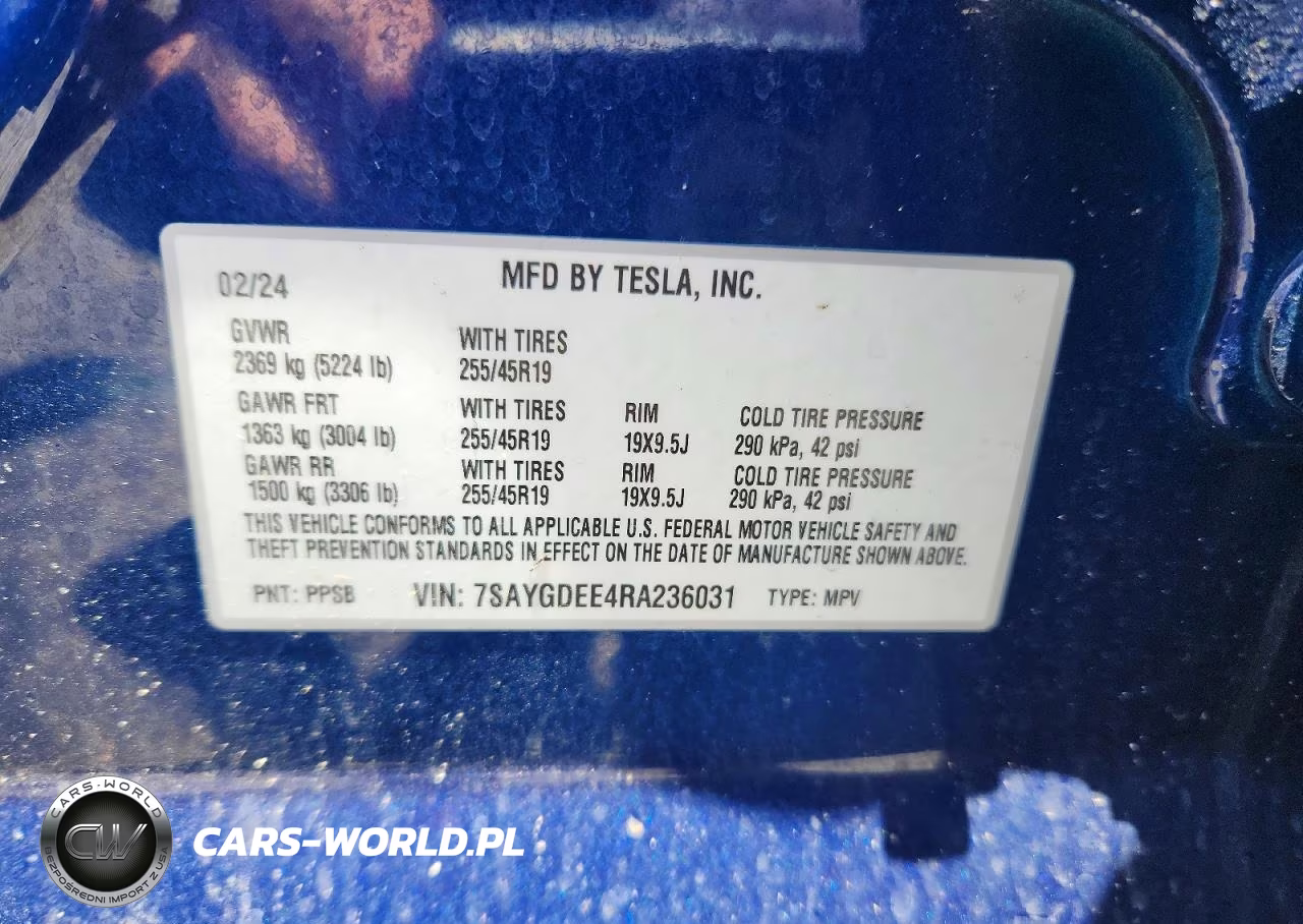 2024 Tesla Model Y VIN:7SAYGDEE4RA236031 - 12