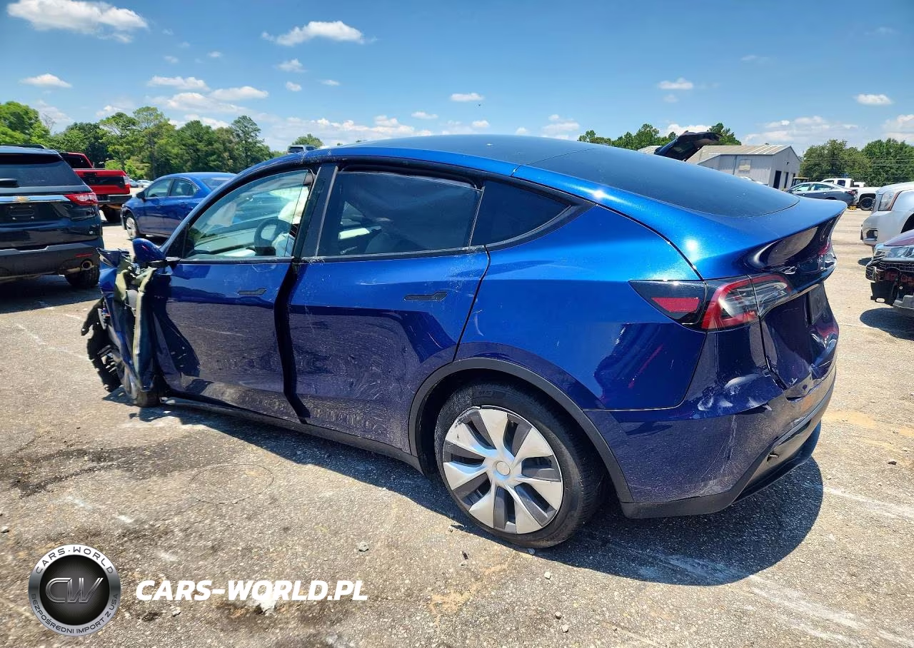 2024 Tesla Model Y VIN:7SAYGDEE4RA236031 - 2