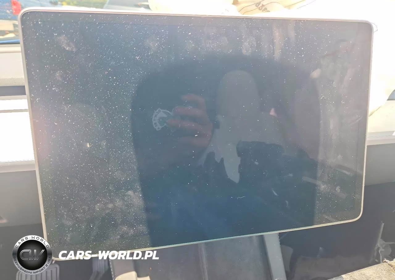 2024 Tesla Model Y VIN:7SAYGDEE4RA236031 - 9