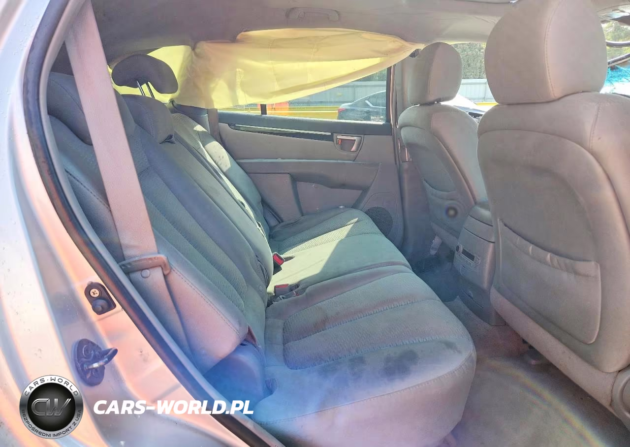 2007 Hyundai Santa Fe Se VIN:5NMSH13E07H035209 - 10