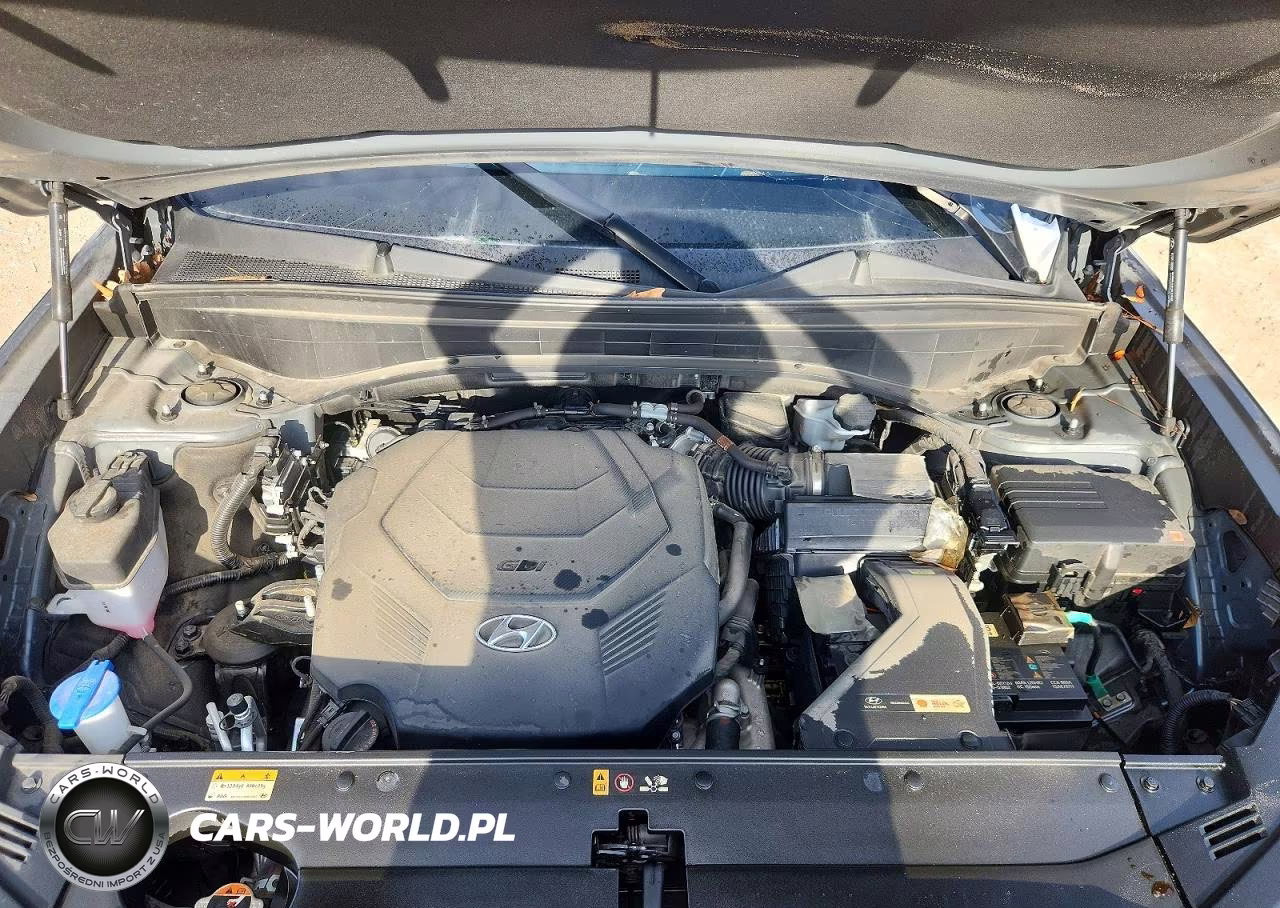 2025 Hyundai Palisade Sel VIN:KM8R24GE2SU823174 - 12