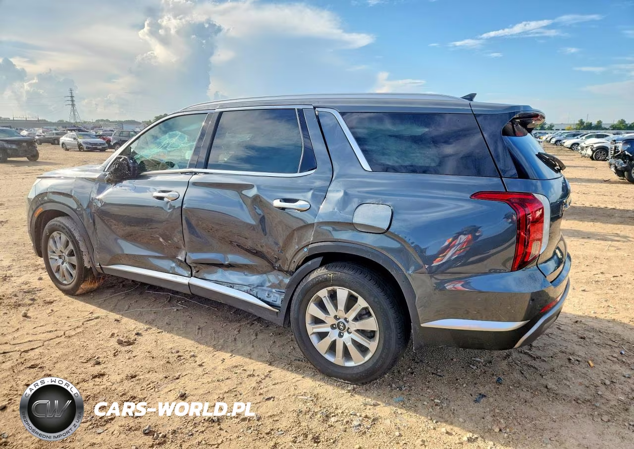 2025 Hyundai Palisade Sel VIN:KM8R24GE2SU823174 - 2