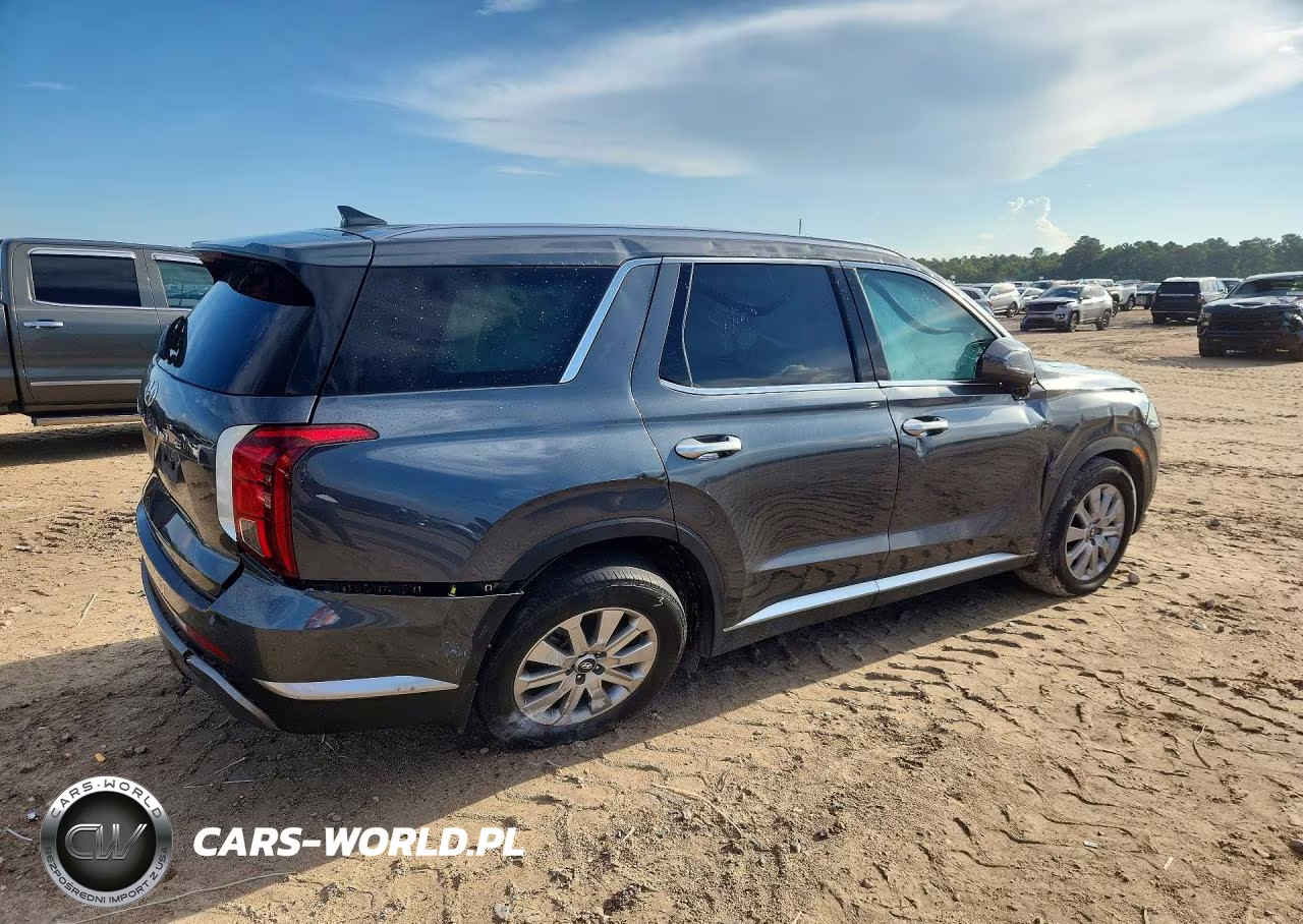 2025 Hyundai Palisade Sel VIN:KM8R24GE2SU823174 - 3