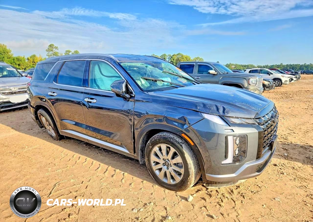 2025 Hyundai Palisade Sel VIN:KM8R24GE2SU823174 - 4