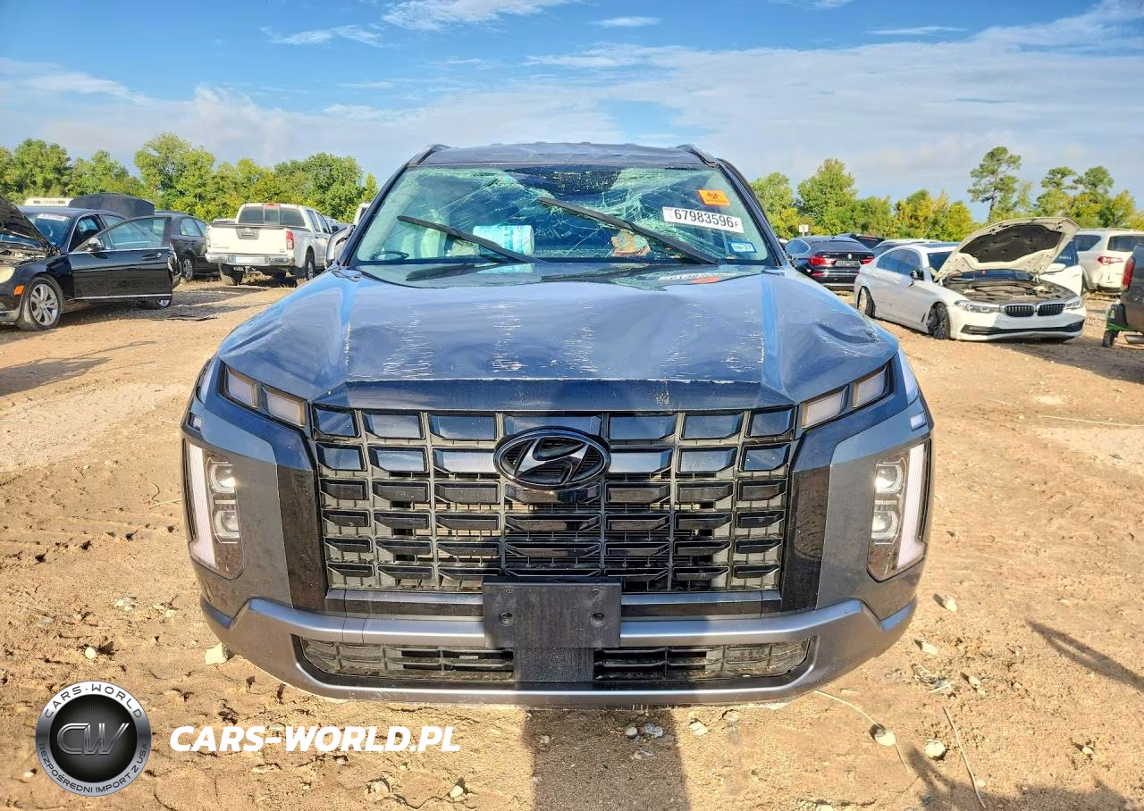 2025 Hyundai Palisade Sel VIN:KM8R24GE2SU823174 - 5