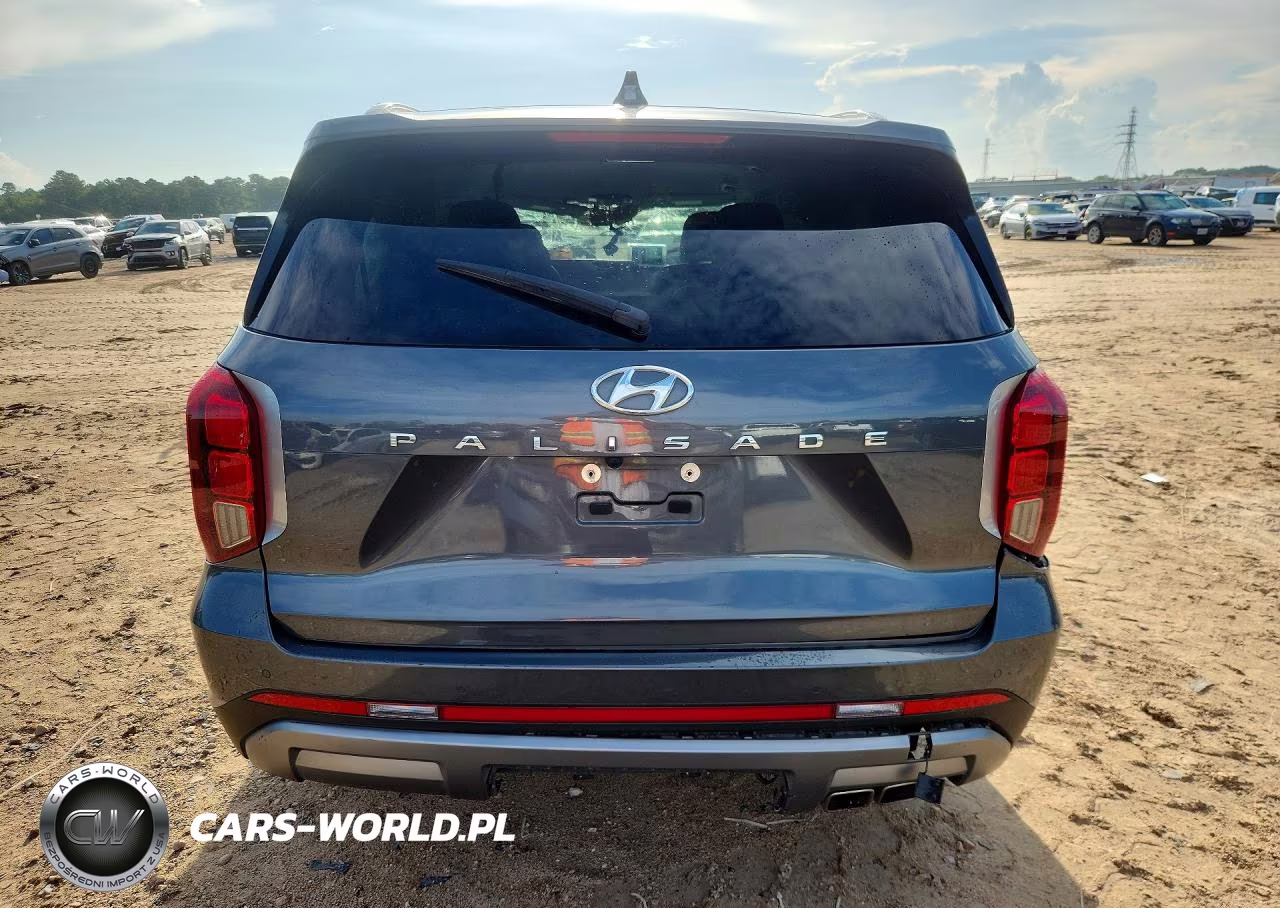 2025 Hyundai Palisade Sel VIN:KM8R24GE2SU823174 - 6