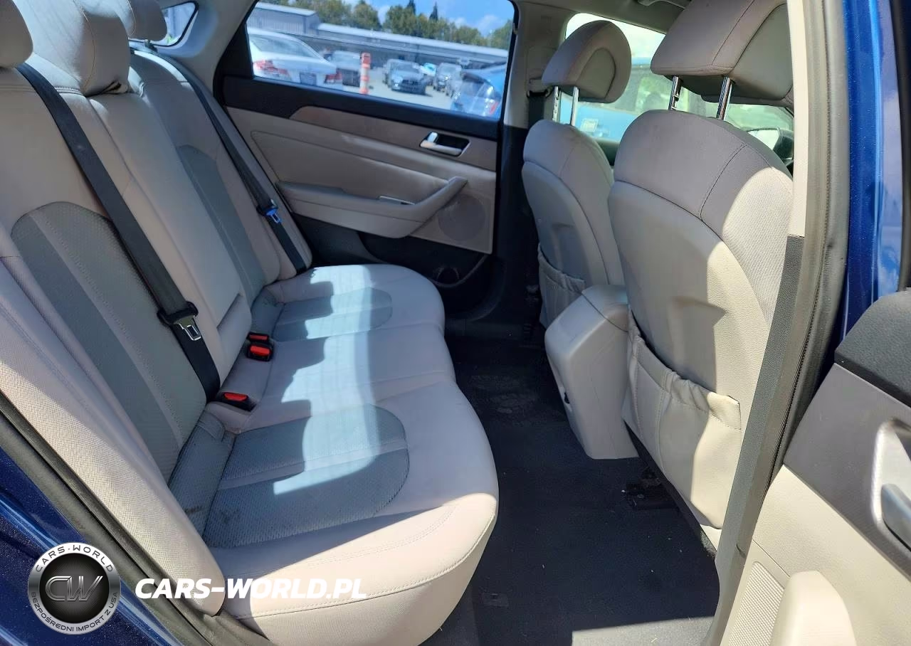 2015 Hyundai Sonata Eco VIN:5NPE24AA8FH134975 - 10