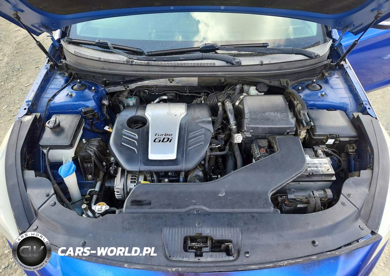 2015 Hyundai Sonata Eco VIN:5NPE24AA8FH134975 - 11