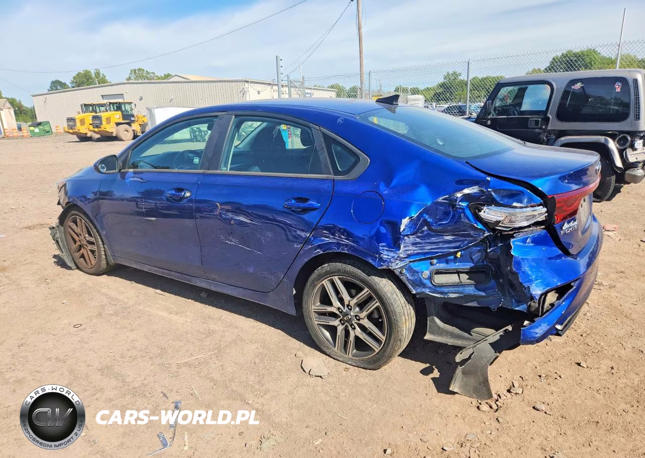 2019 Kia Forte S VIN:3KPF34AD0KE041099 - 2