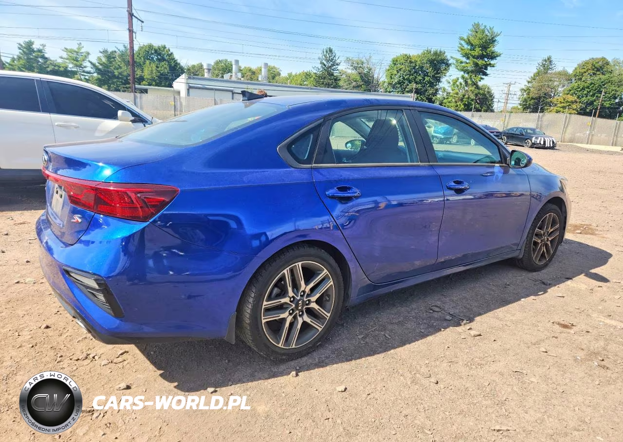 2019 Kia Forte S VIN:3KPF34AD0KE041099 - 3