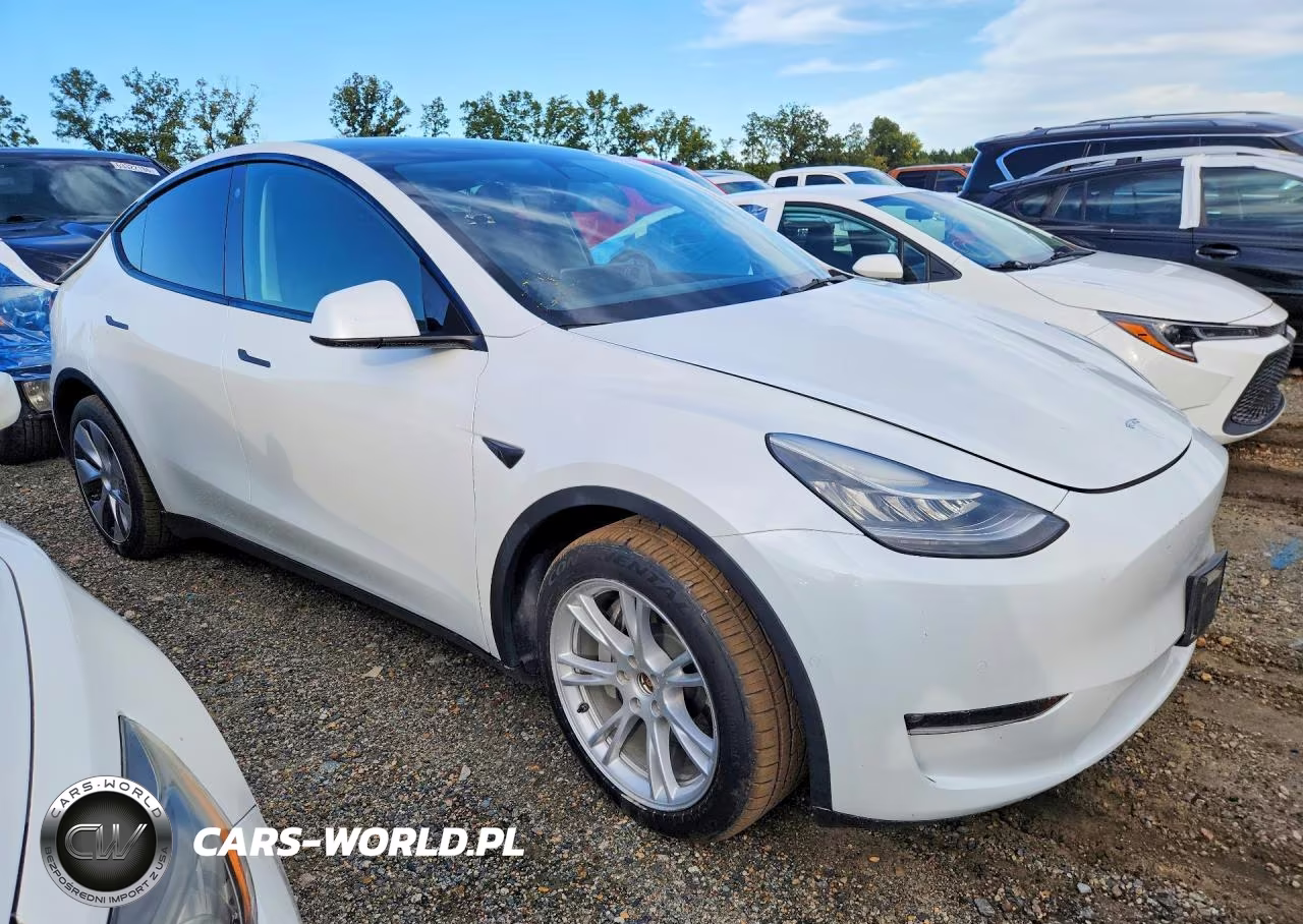 2021 Tesla Model Y VIN:5YJYGDEE3MF191964 - 4