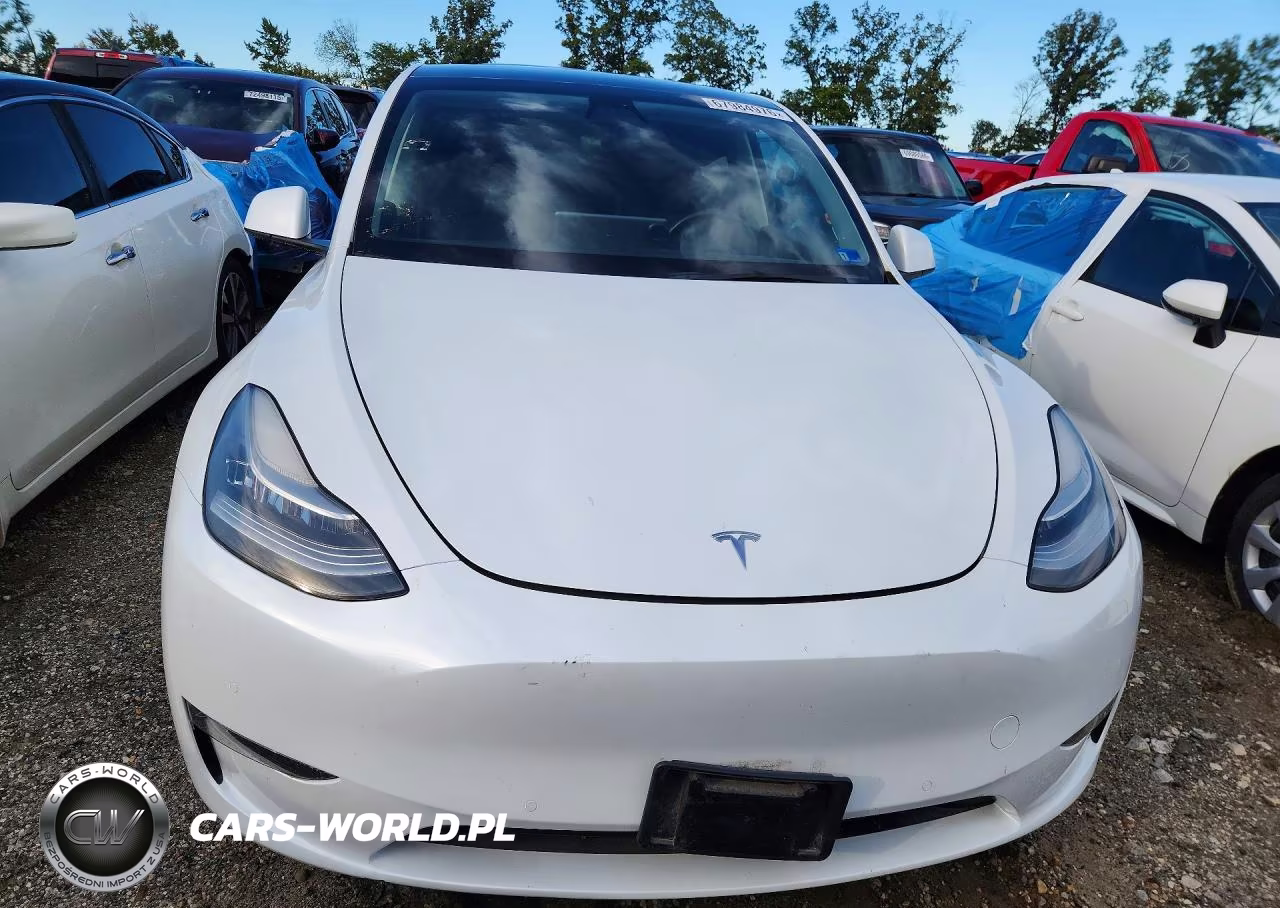 2021 Tesla Model Y VIN:5YJYGDEE3MF191964 - 5