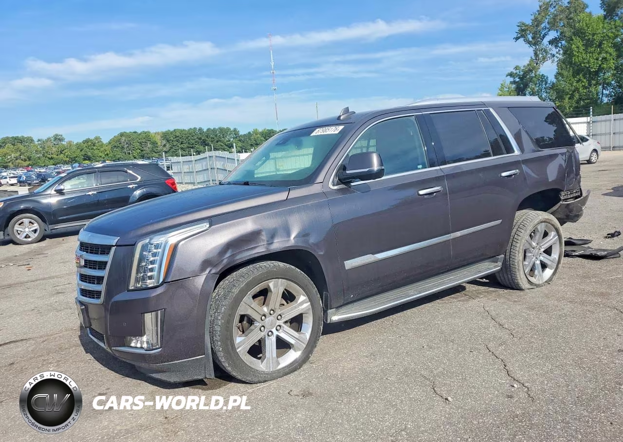 2016 Cadillac Escalade Luxury VIN:1GYS4BKJ9GR181324 - 1