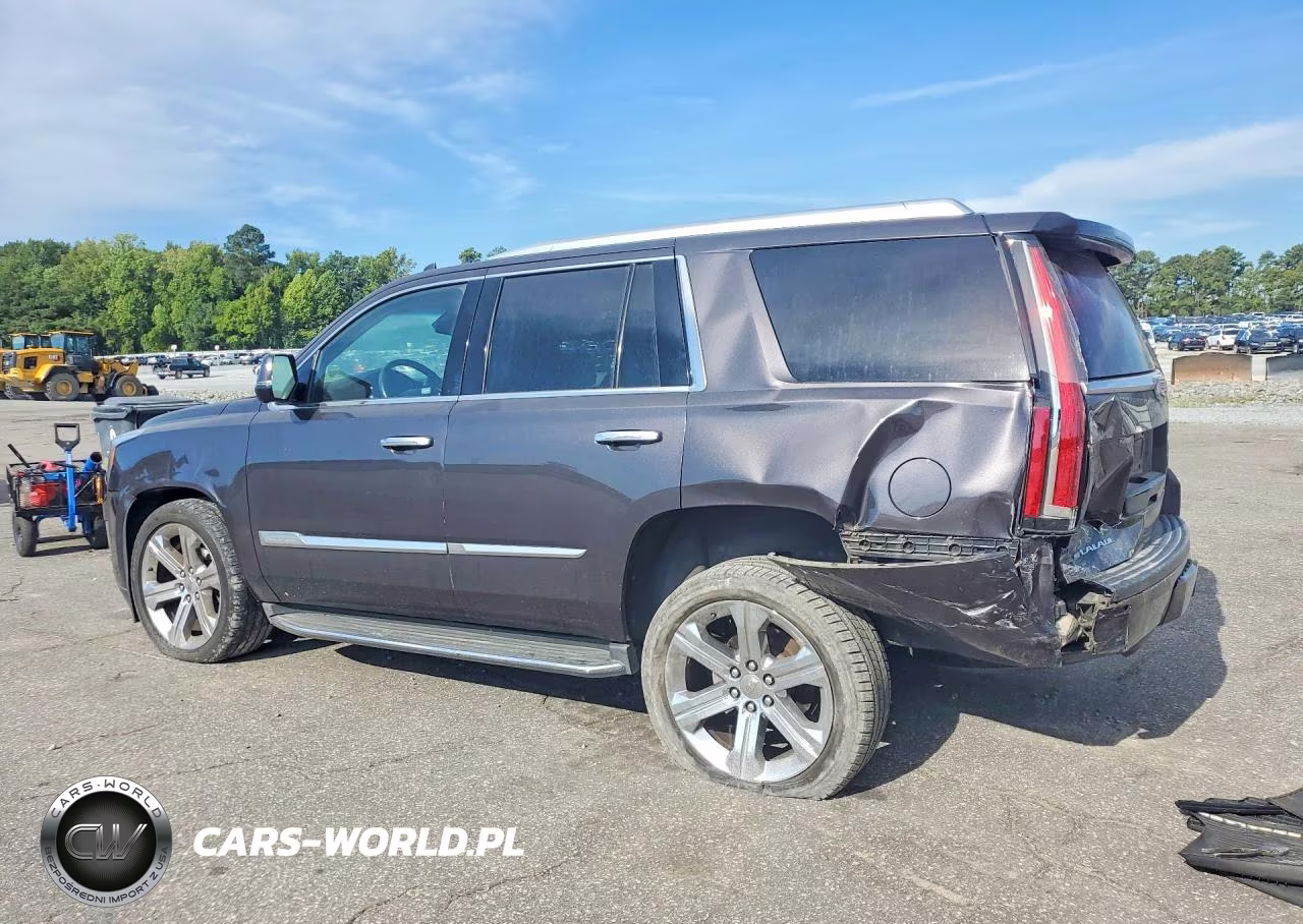 2016 Cadillac Escalade Luxury VIN:1GYS4BKJ9GR181324 - 2