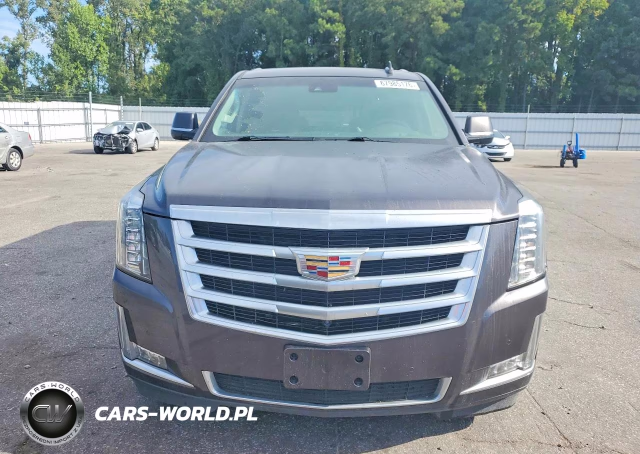 2016 Cadillac Escalade Luxury VIN:1GYS4BKJ9GR181324 - 5