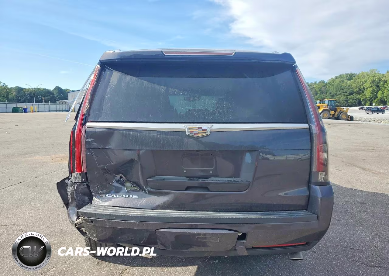2016 Cadillac Escalade Luxury VIN:1GYS4BKJ9GR181324 - 6