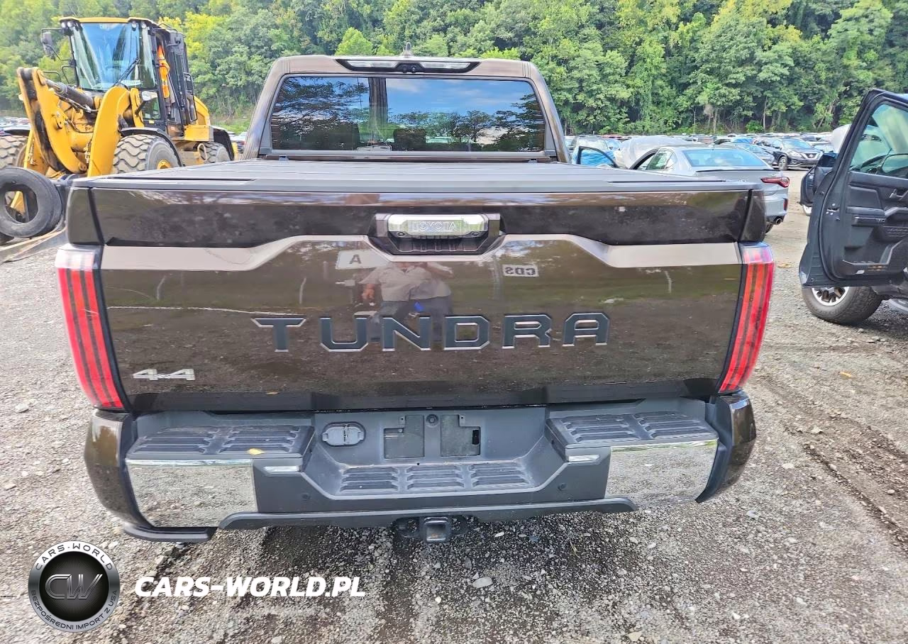 2024 Toyota Tundra 1794 Edition Hv VIN:5TFMC5DB7RX048701 - 6
