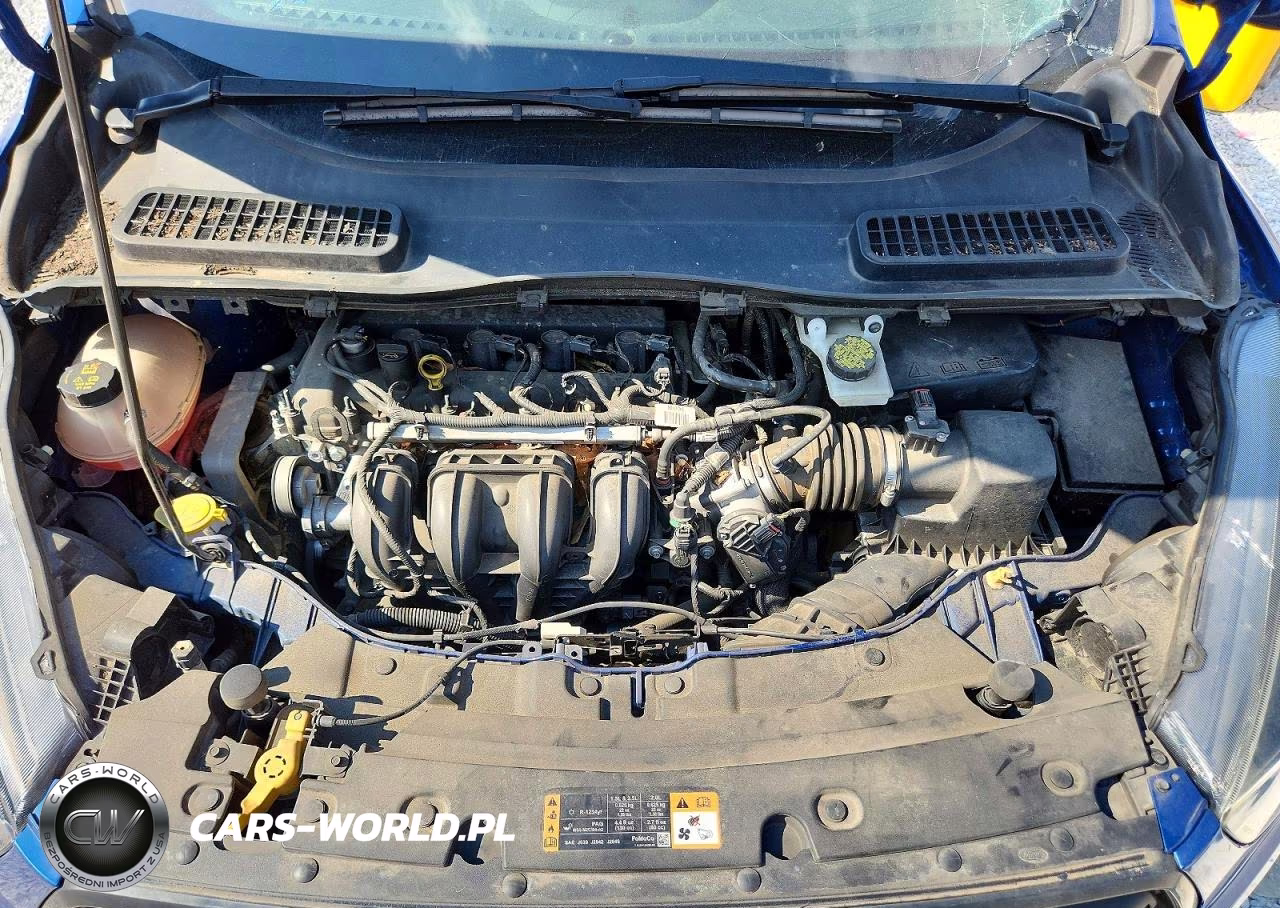 2019 Ford Escape S VIN:1FMCU0F79KUC49488 - 12