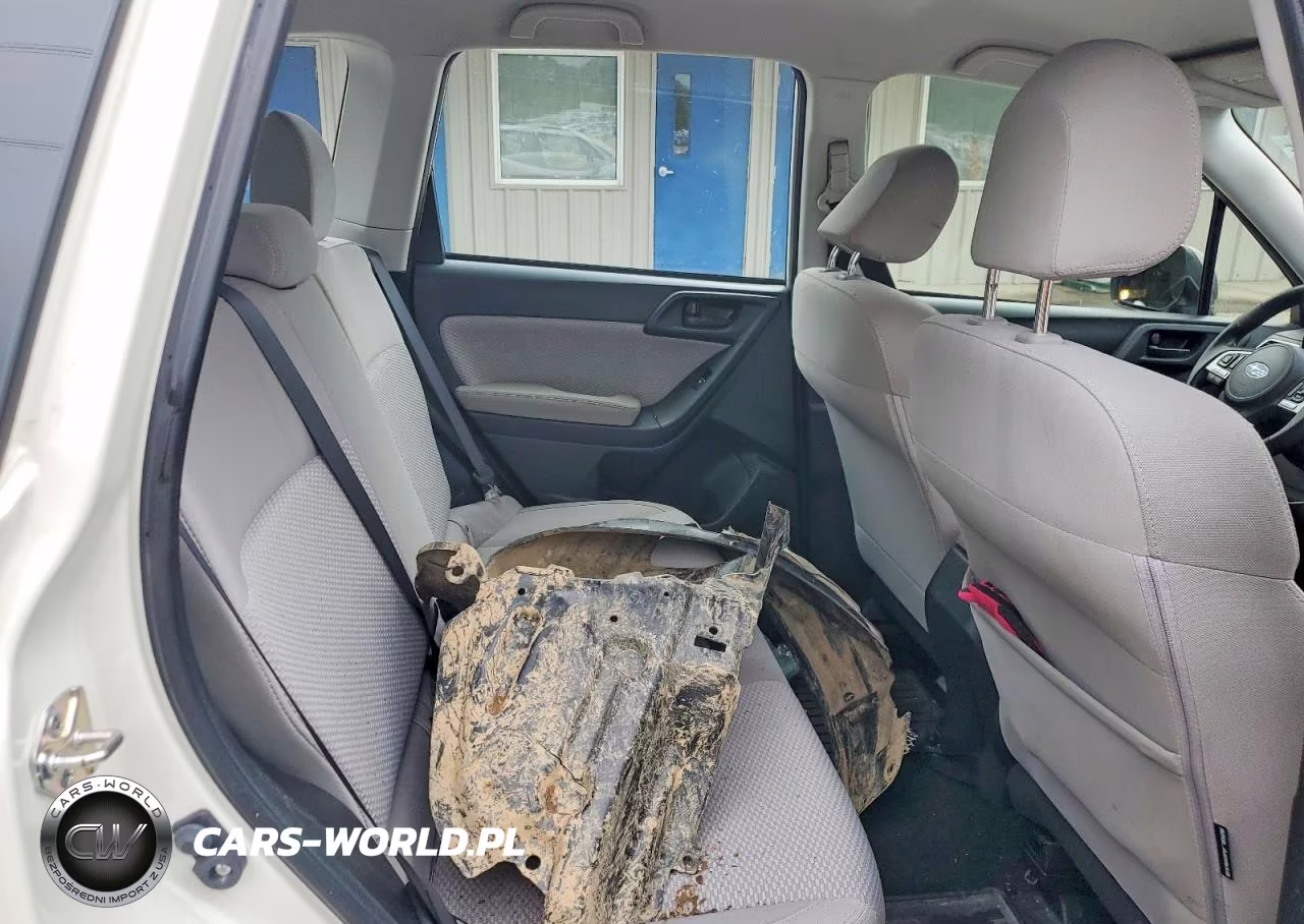 2017 Subaru Forester 2.5I VIN:JF2SJABC7HH460418 - 10