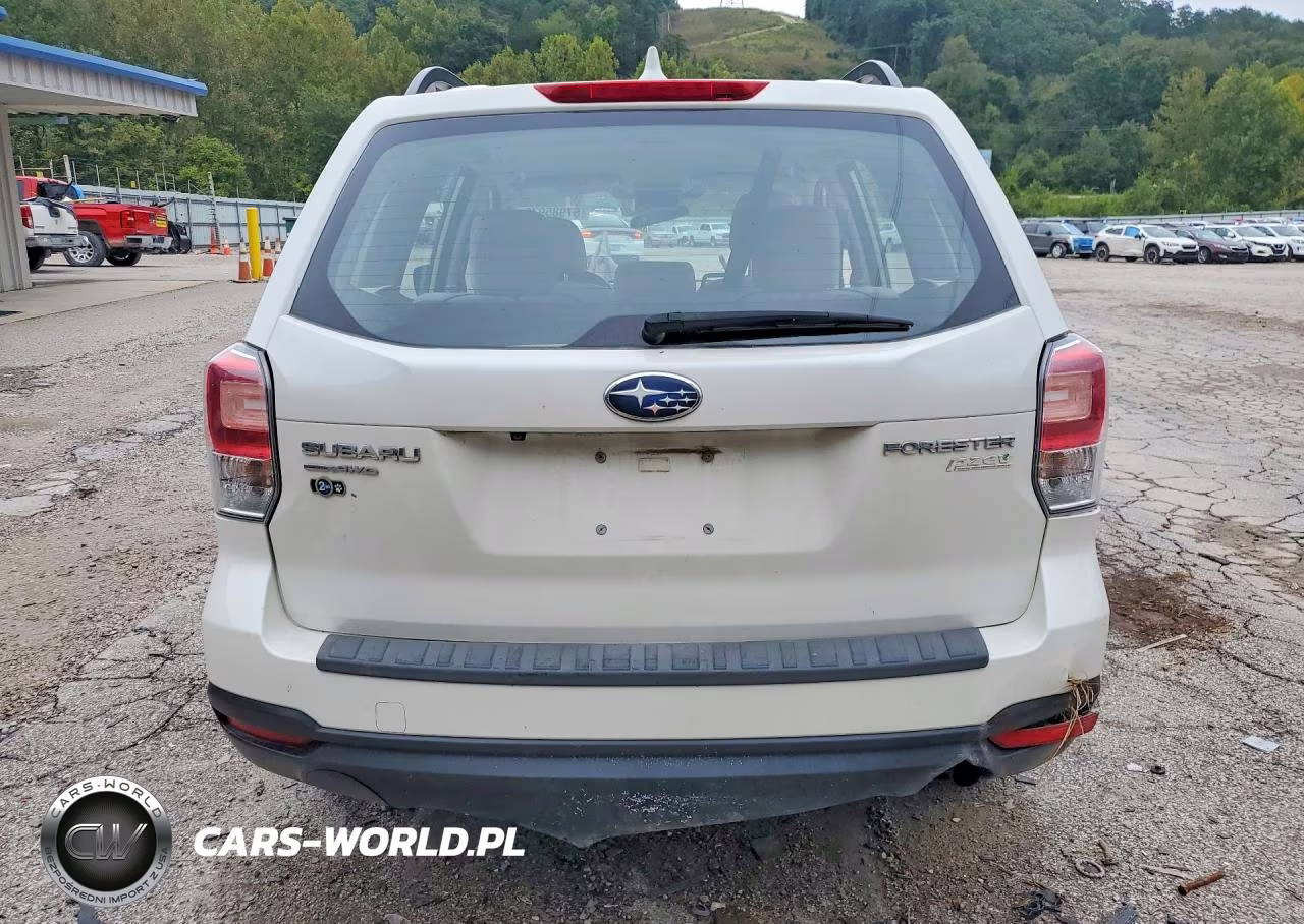 2017 Subaru Forester 2.5I VIN:JF2SJABC7HH460418 - 6