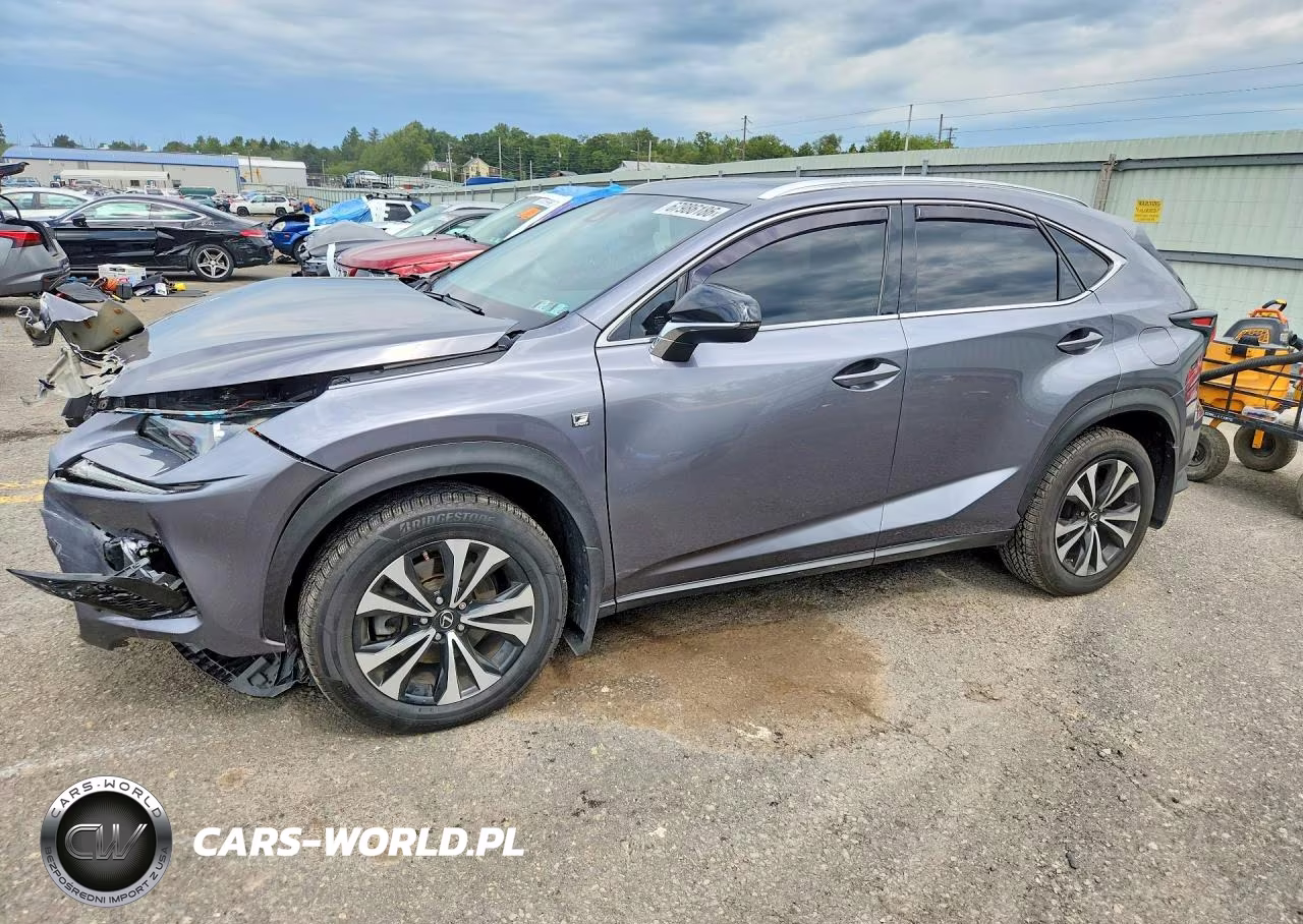 2019 Lexus Nx 300 F Sport VIN:JTJBARBZ3K2197353 - 1