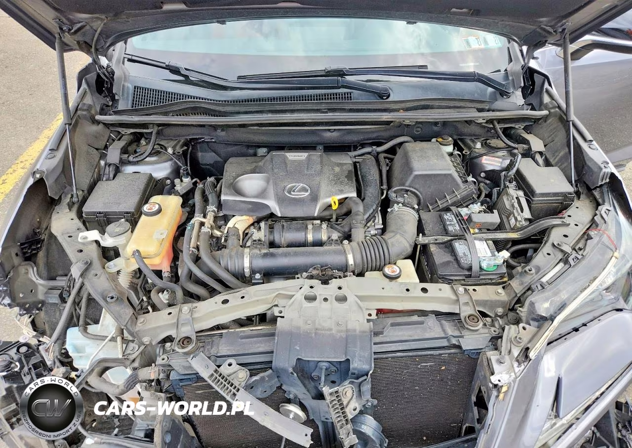 2019 Lexus Nx 300 F Sport VIN:JTJBARBZ3K2197353 - 12