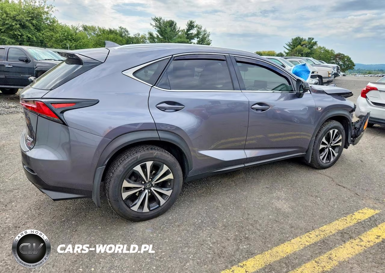 2019 Lexus Nx 300 F Sport VIN:JTJBARBZ3K2197353 - 3