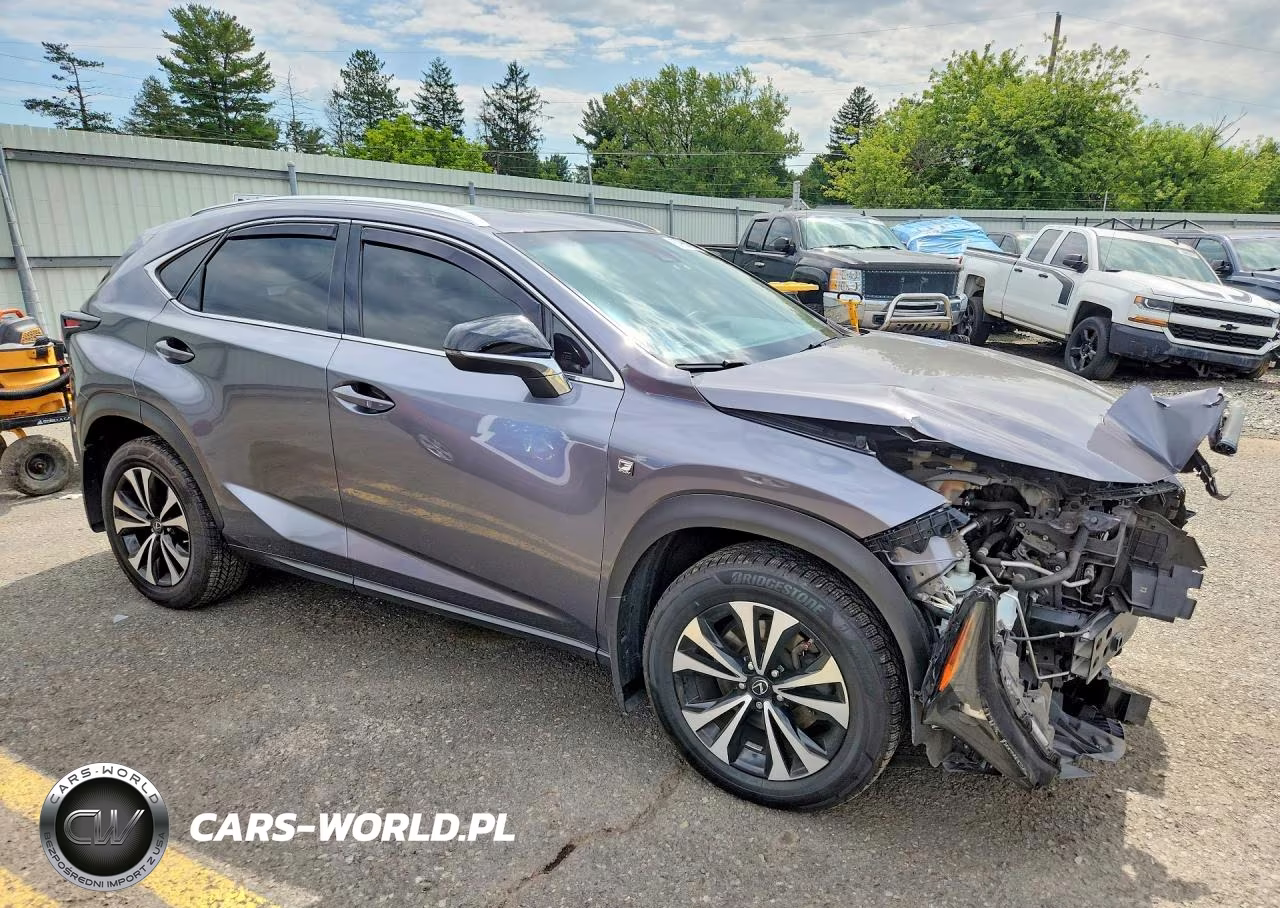 2019 Lexus Nx 300 F Sport VIN:JTJBARBZ3K2197353 - 4