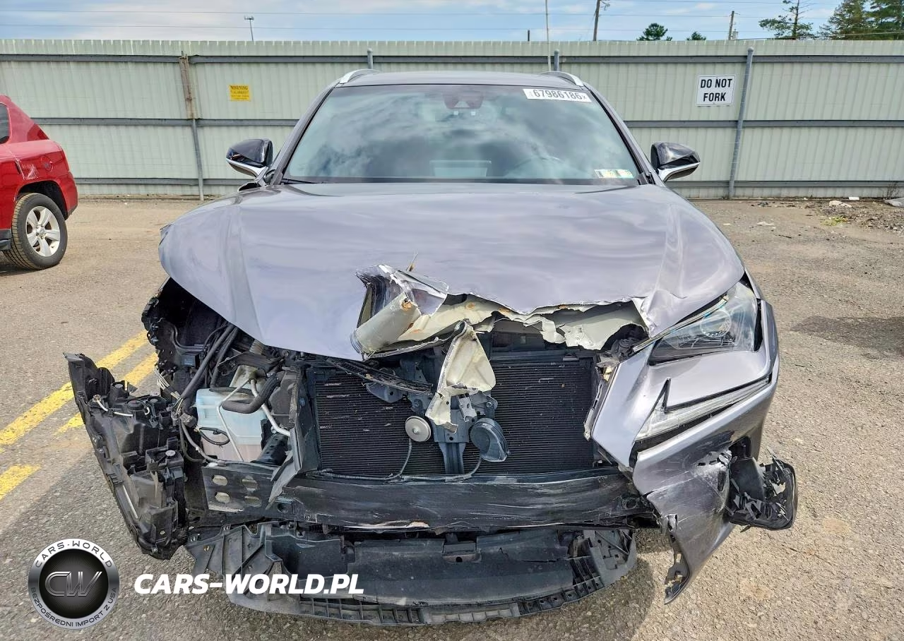 2019 Lexus Nx 300 F Sport VIN:JTJBARBZ3K2197353 - 5