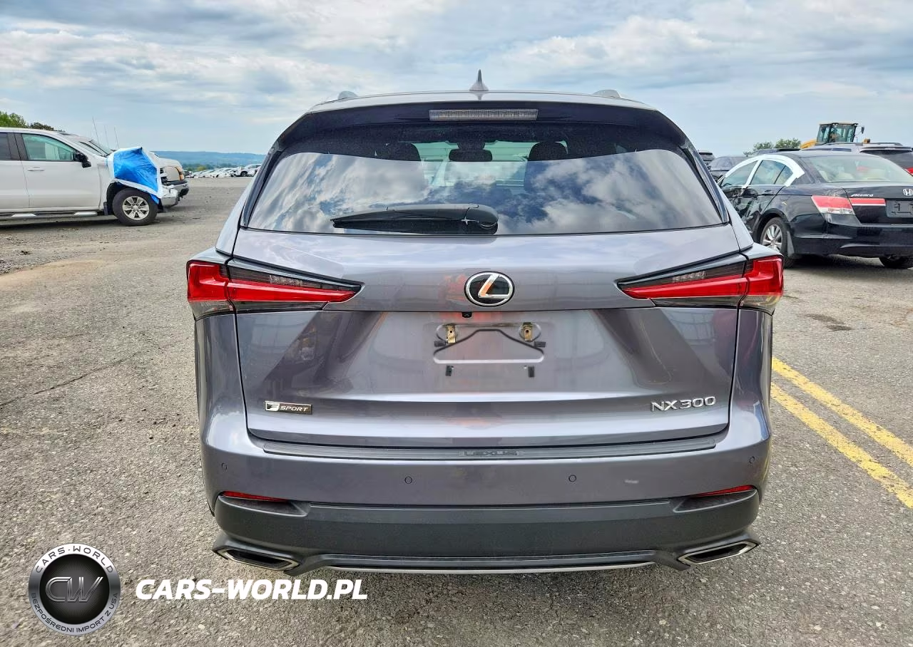 2019 Lexus Nx 300 F Sport VIN:JTJBARBZ3K2197353 - 6