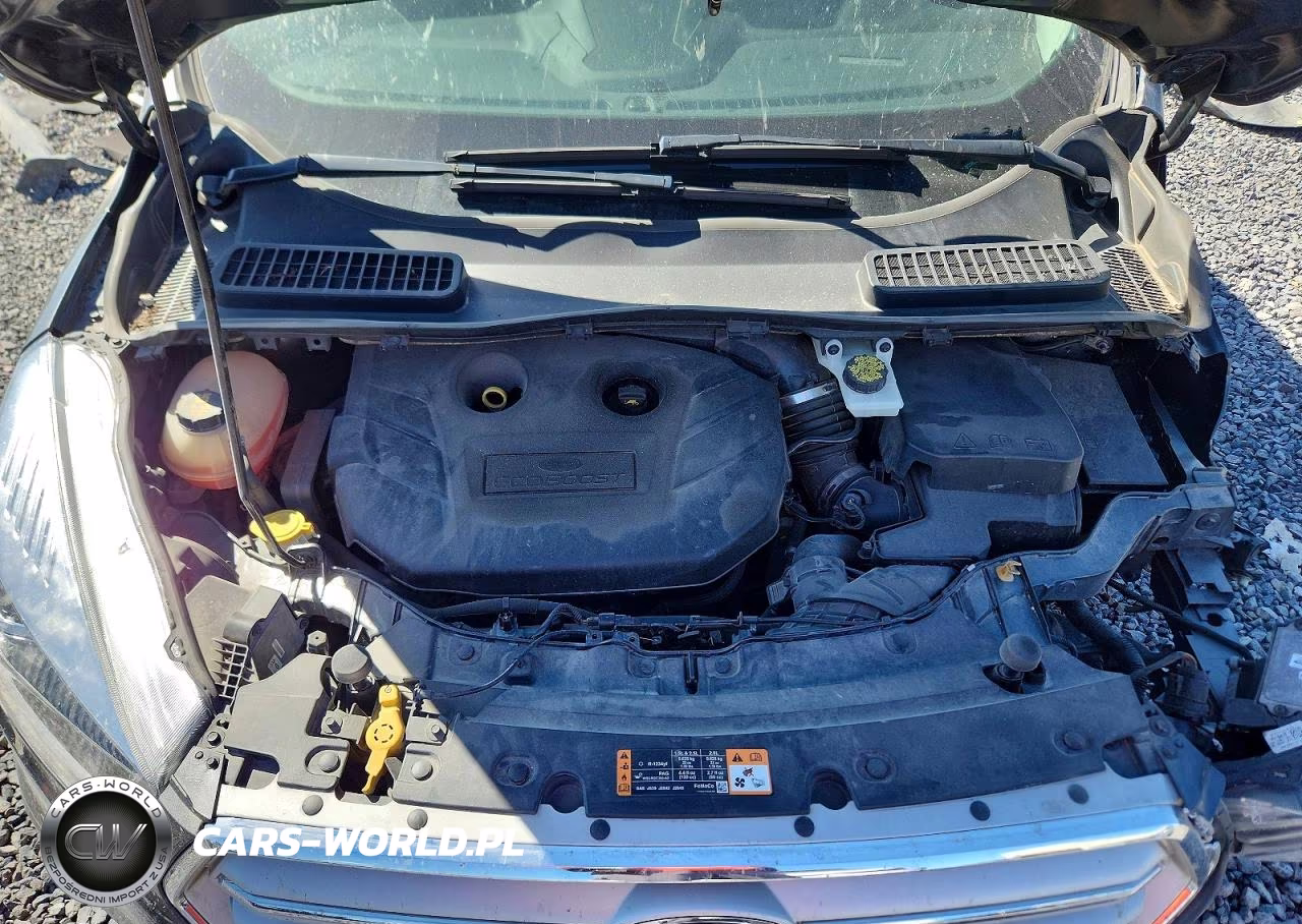 2019 Ford Escape Titanium VIN:1FMCU0J94KUB58475 - 12