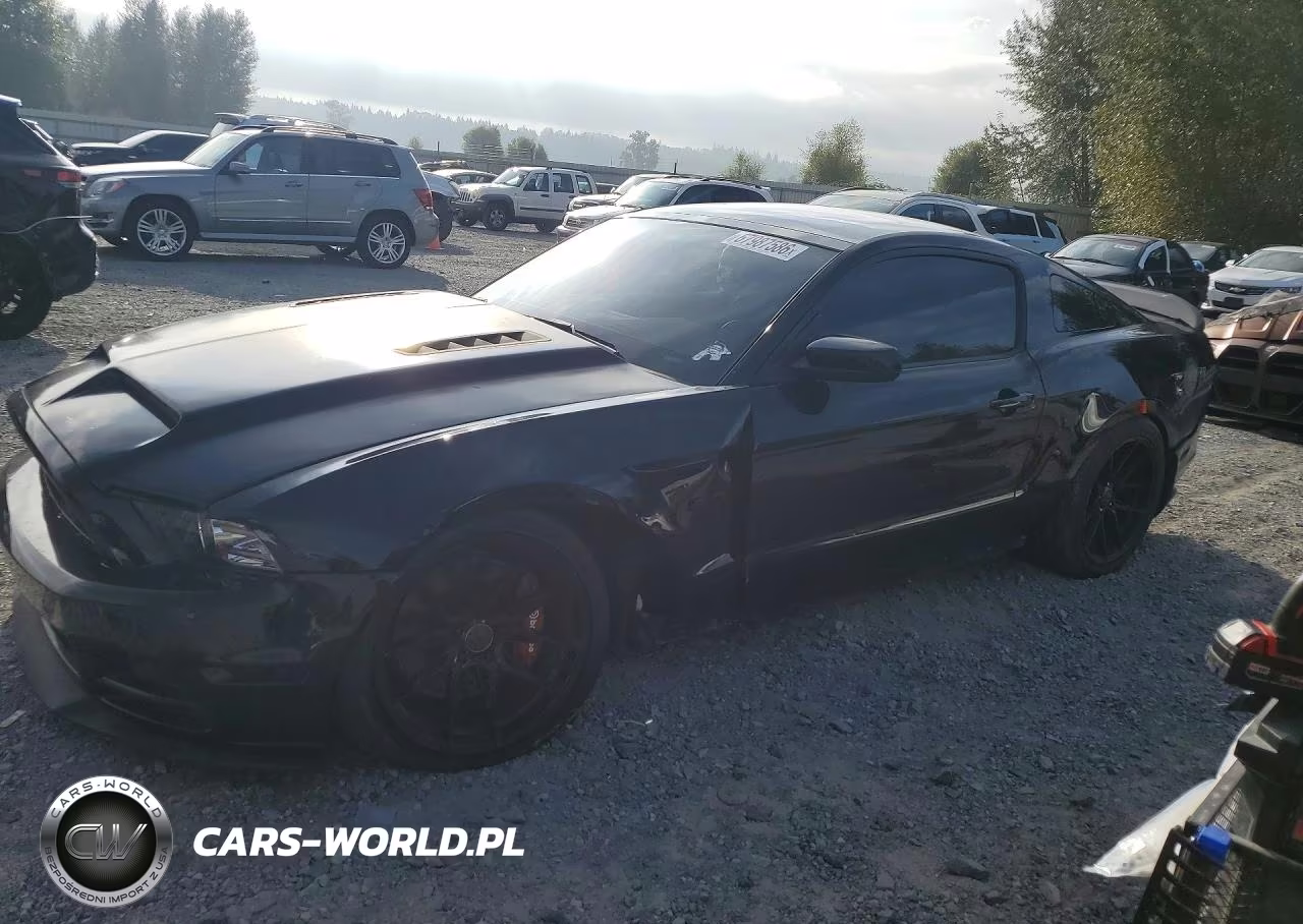 2013 Ford Mustang Gt VIN:1ZVBP8CF9D5271843 - 1