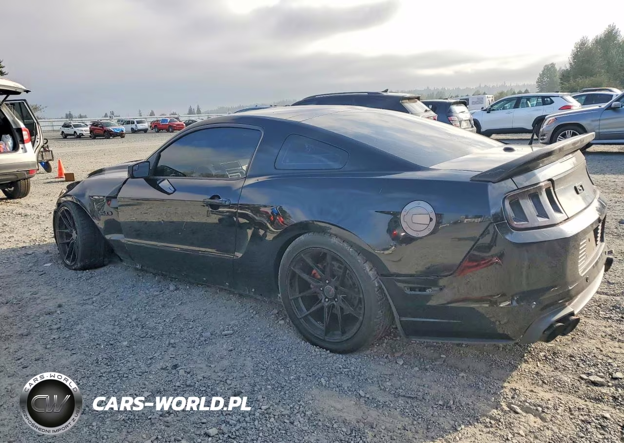 2013 Ford Mustang Gt VIN:1ZVBP8CF9D5271843 - 2