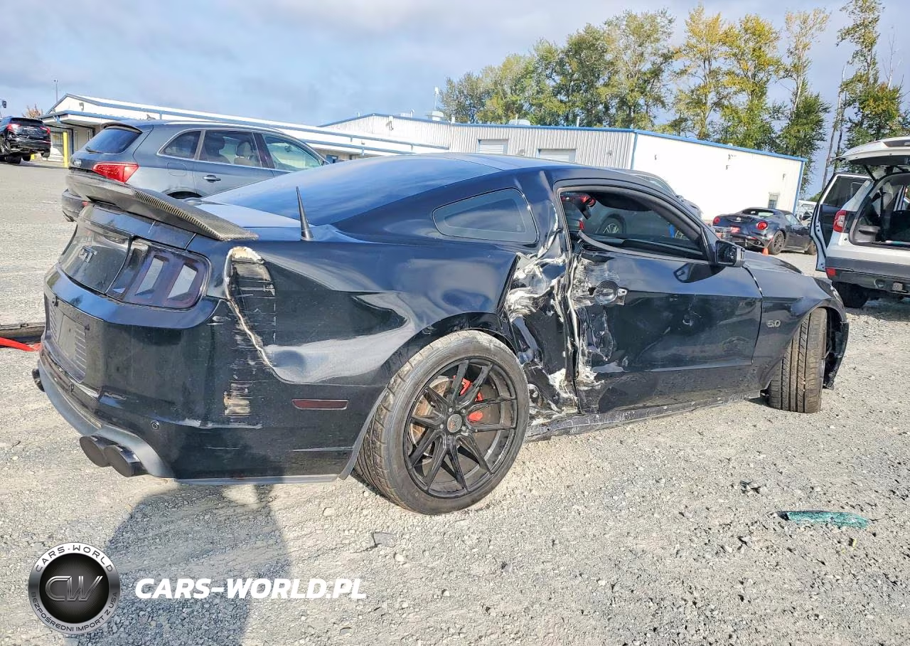 2013 Ford Mustang Gt VIN:1ZVBP8CF9D5271843 - 3