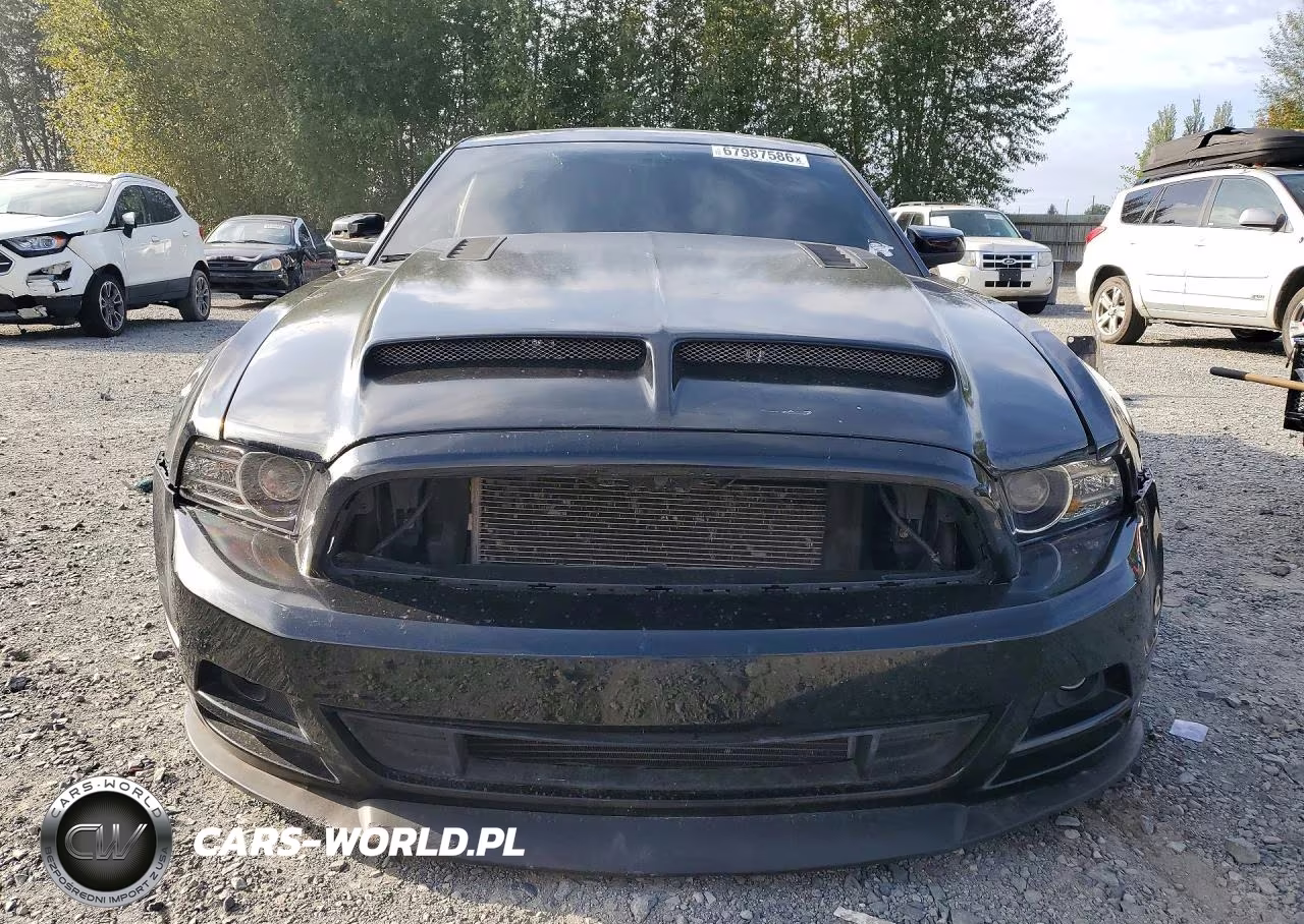 2013 Ford Mustang Gt VIN:1ZVBP8CF9D5271843 - 5