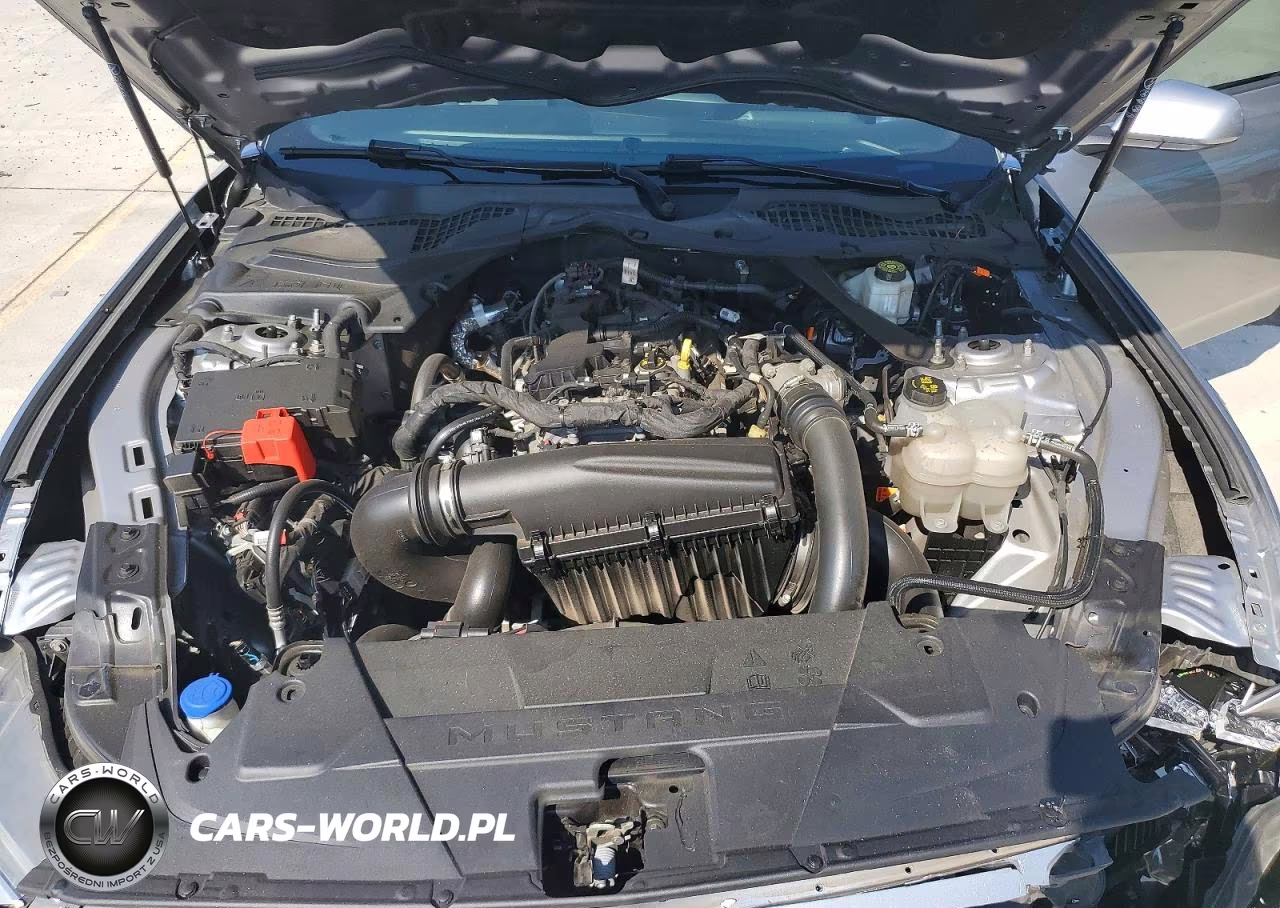 2024 Ford Mustang VIN:1FAGP8UH1R5121120 - 11
