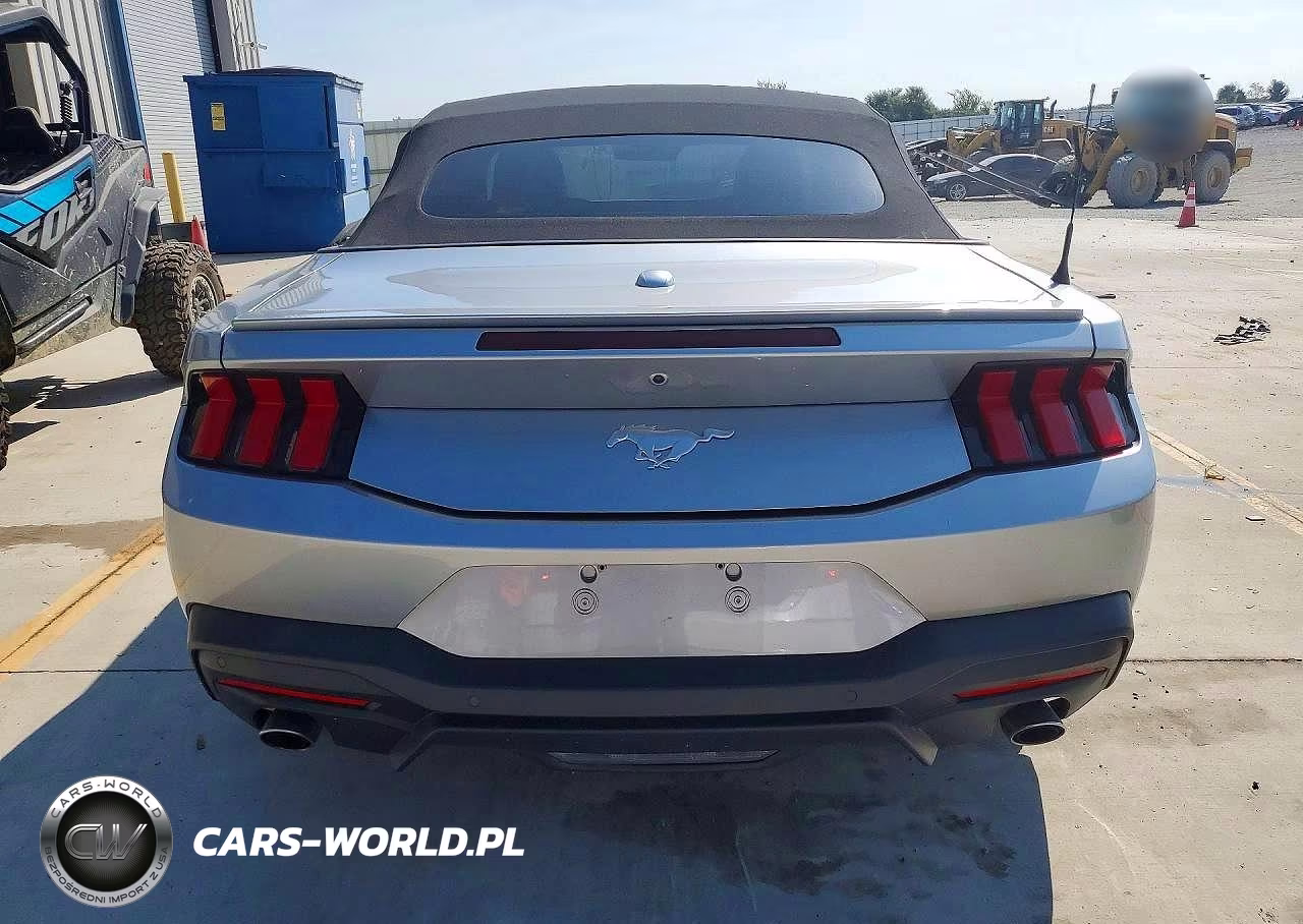 2024 Ford Mustang VIN:1FAGP8UH1R5121120 - 6