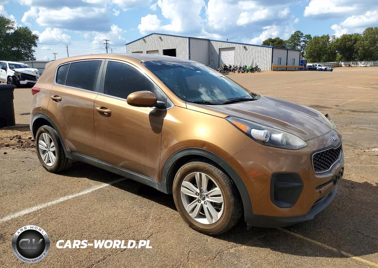 2017 Kia Sportage Lx VIN:KNDPM3AC6H7087886 - 4